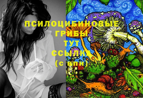 MESCALINE Абинск