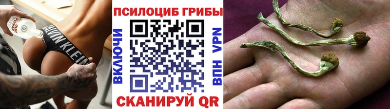 нарко площадка формула  Мосальск  Галлюциногенные грибы Magic Shrooms 